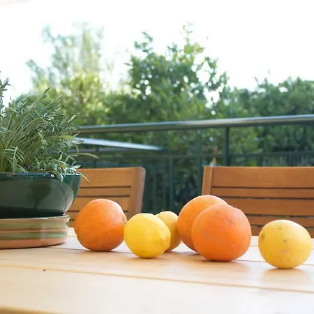 Iro's House Apartment